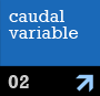 caudal variable